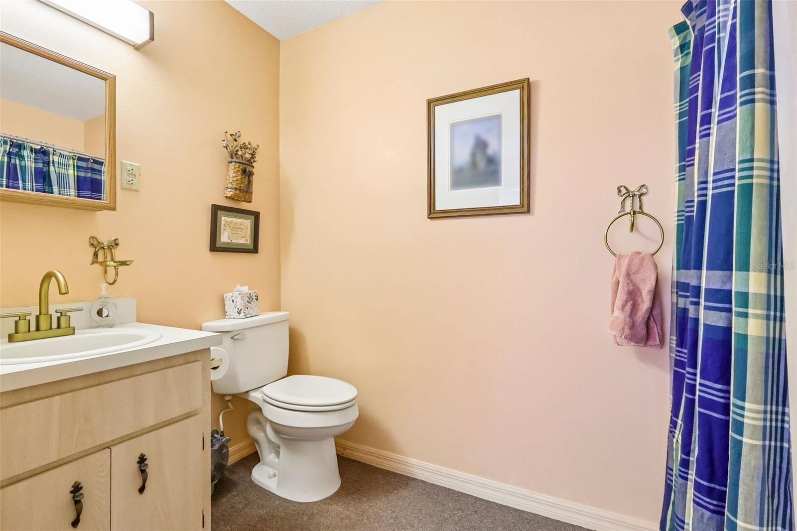 2685 CR 564, BUSHNELL, FL, 33513