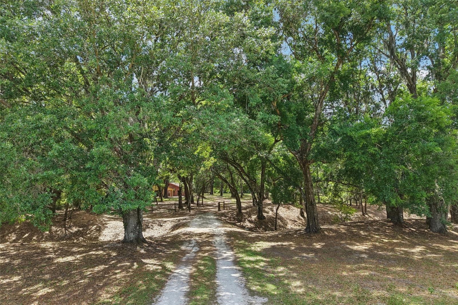 2685 CR 564, BUSHNELL, FL, 33513