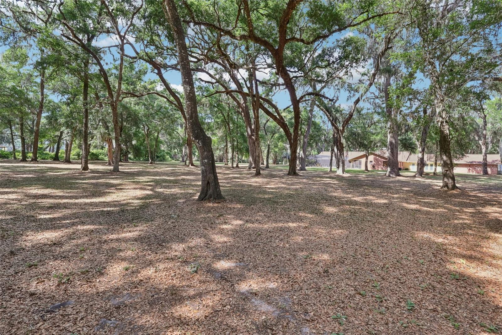 2685 CR 564, BUSHNELL, FL, 33513