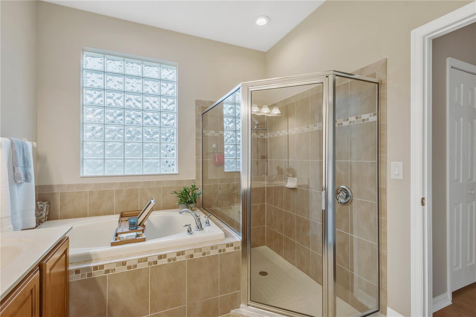 10859 BREAKING ROCKS DR, TAMPA, FL, 33647