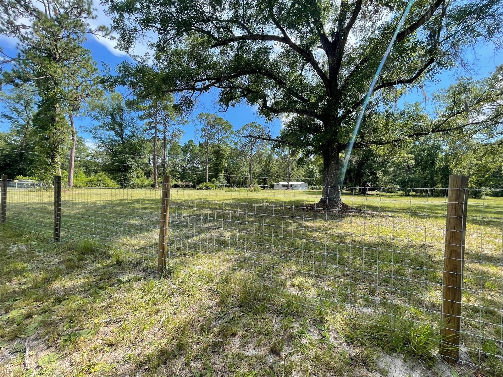 10226 NE 76TH TER, GAINESVILLE, FL, 32609