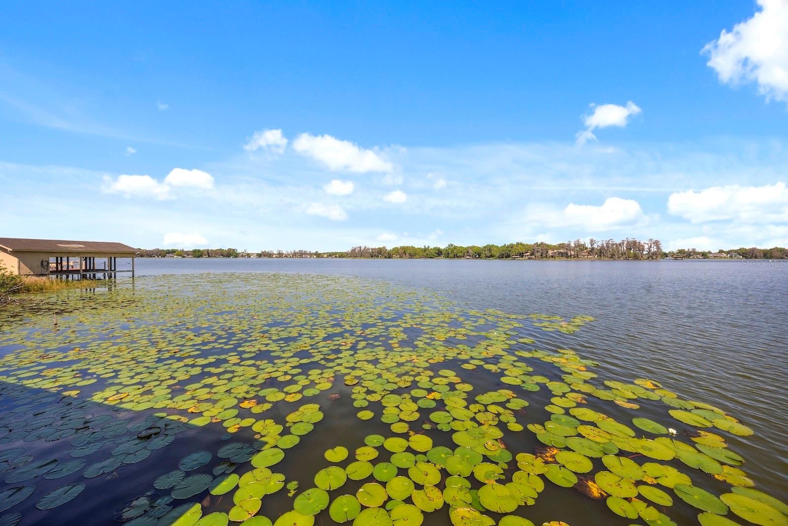 5400 KENMORE LN, ORLANDO, FL, 32839