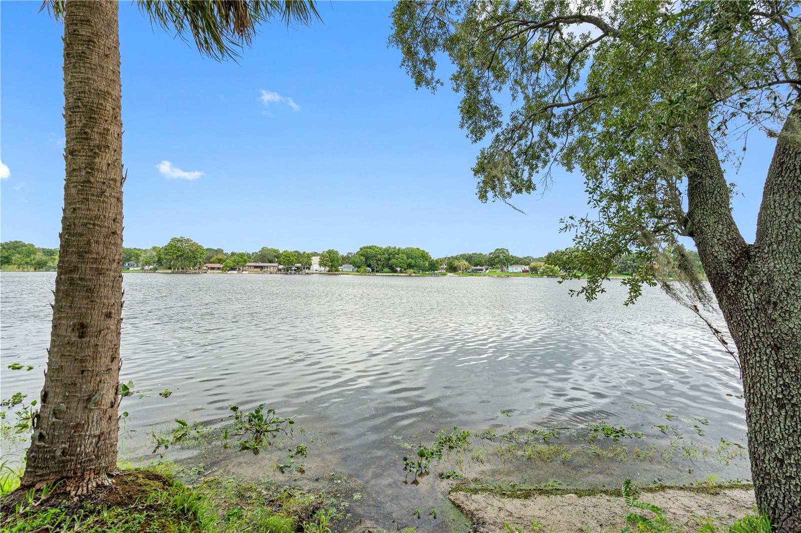 7200 E BANK DR #0, TAMPA, FL, 33617