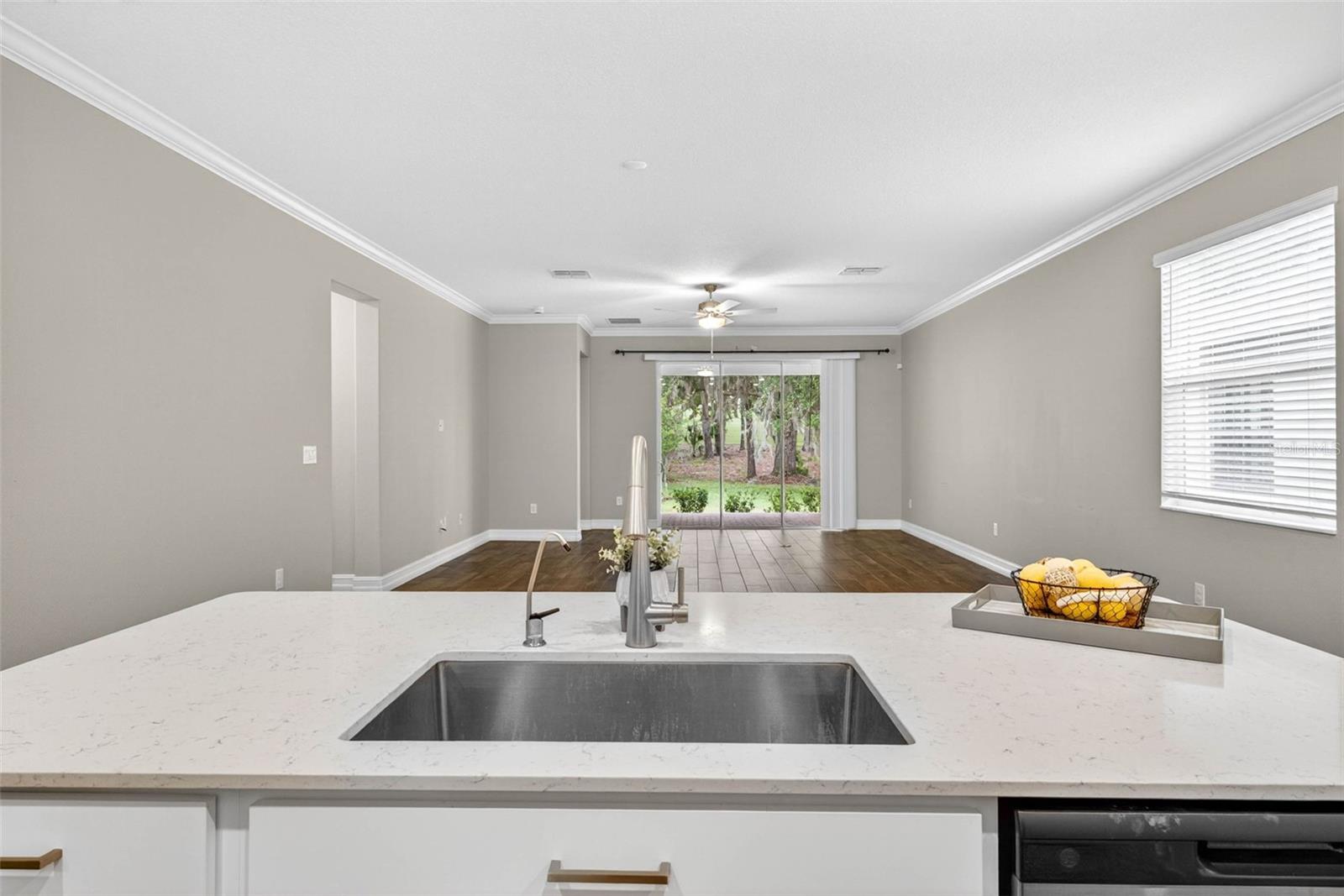 19462 FOREST GARDEN CT, BROOKSVILLE, FL, 34601