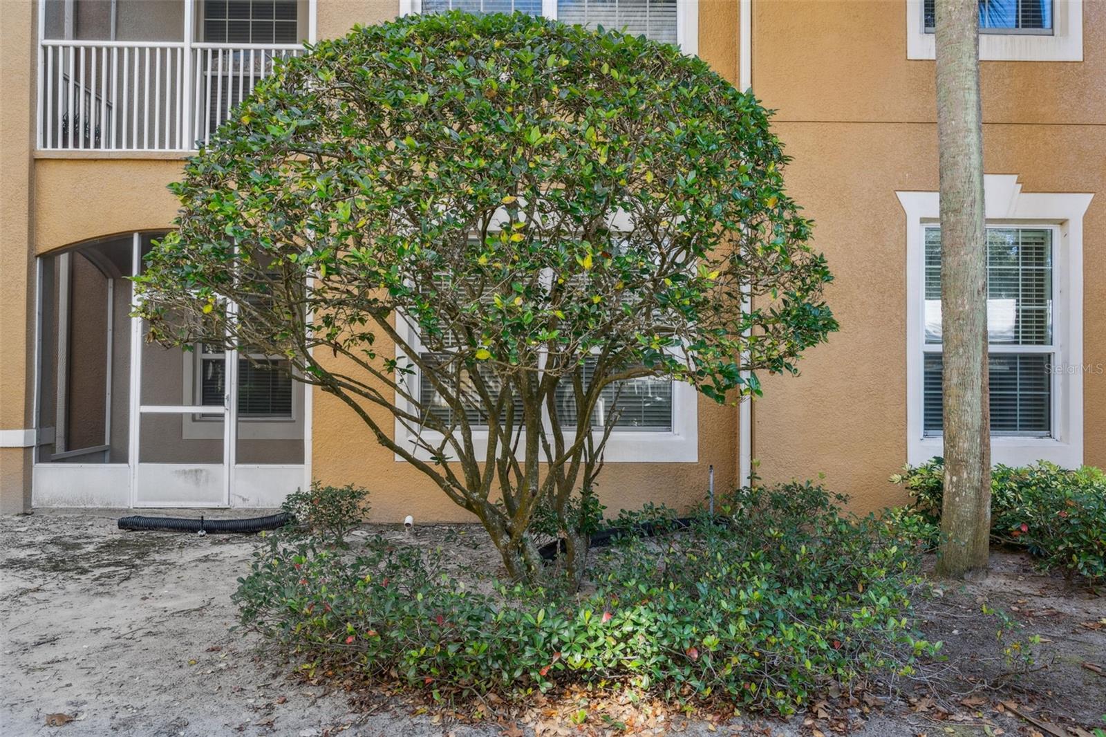 2484 SAN TECLA ST #105, ORLANDO, FL, 32835