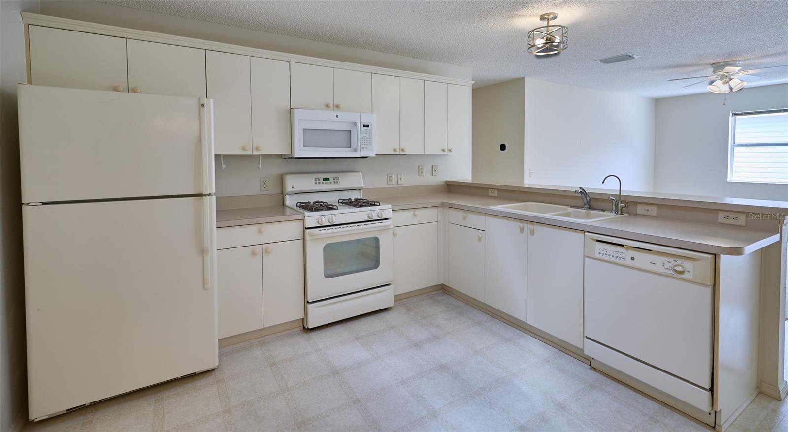 2331 RILEY RD, THE VILLAGES, FL, 32162