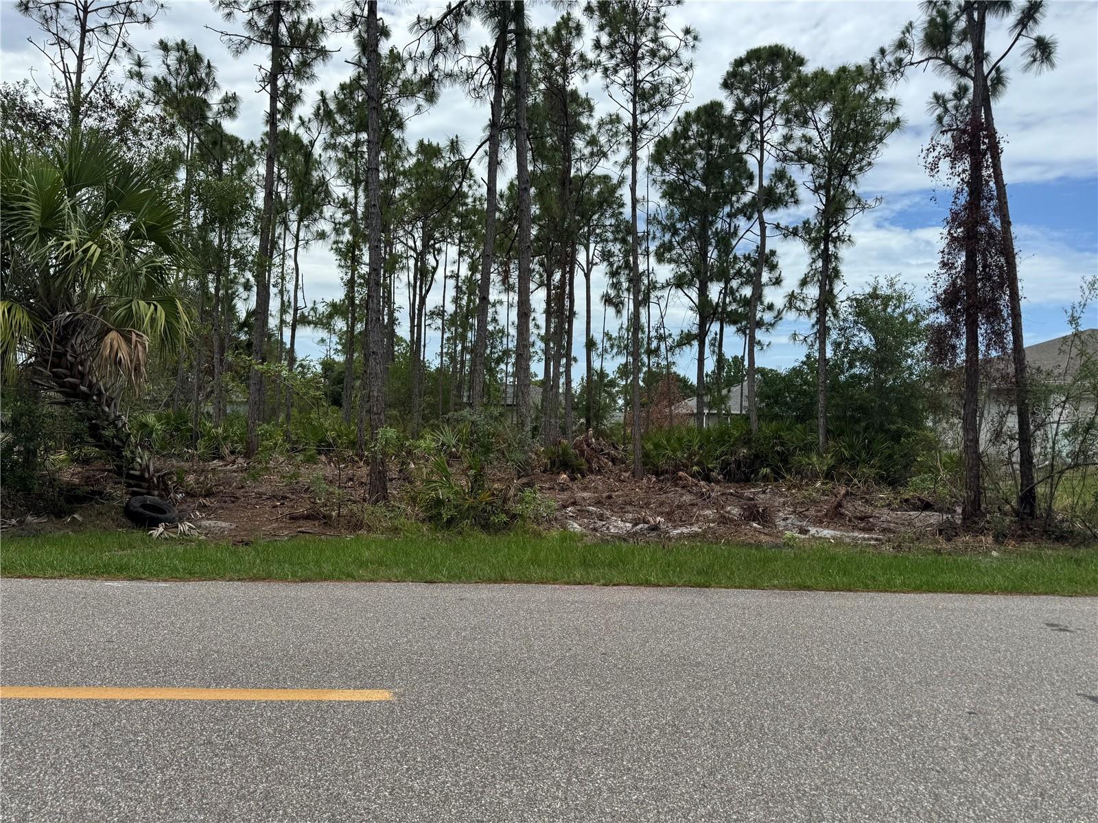 23369 AVACADO AVE, PUNTA GORDA, FL, 33980