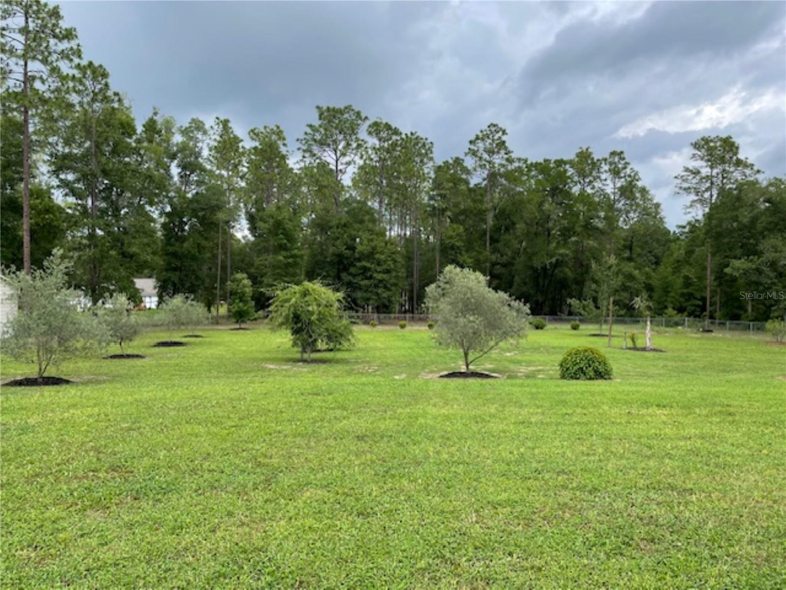 11931 SW 41ST PL, OCALA, FL, 34481