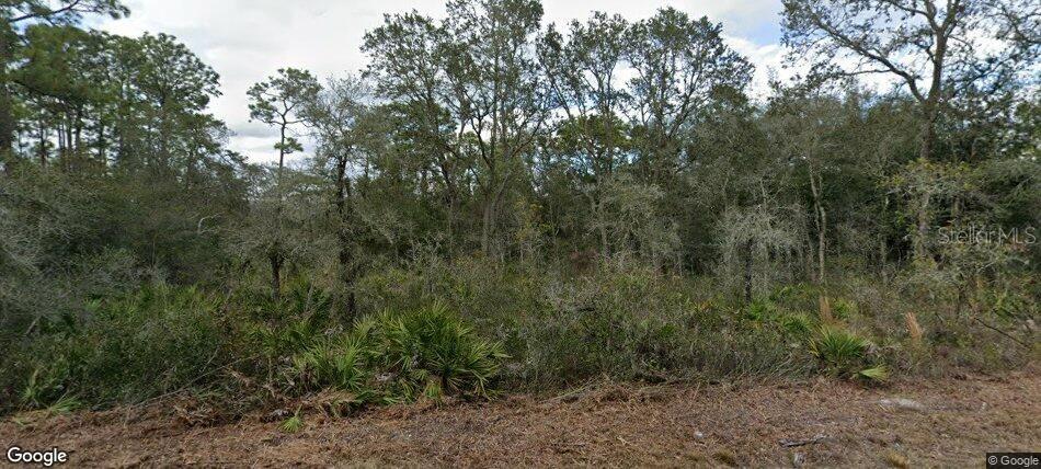 35023 PRIMROSE LN, WEBSTER, FL, 33597