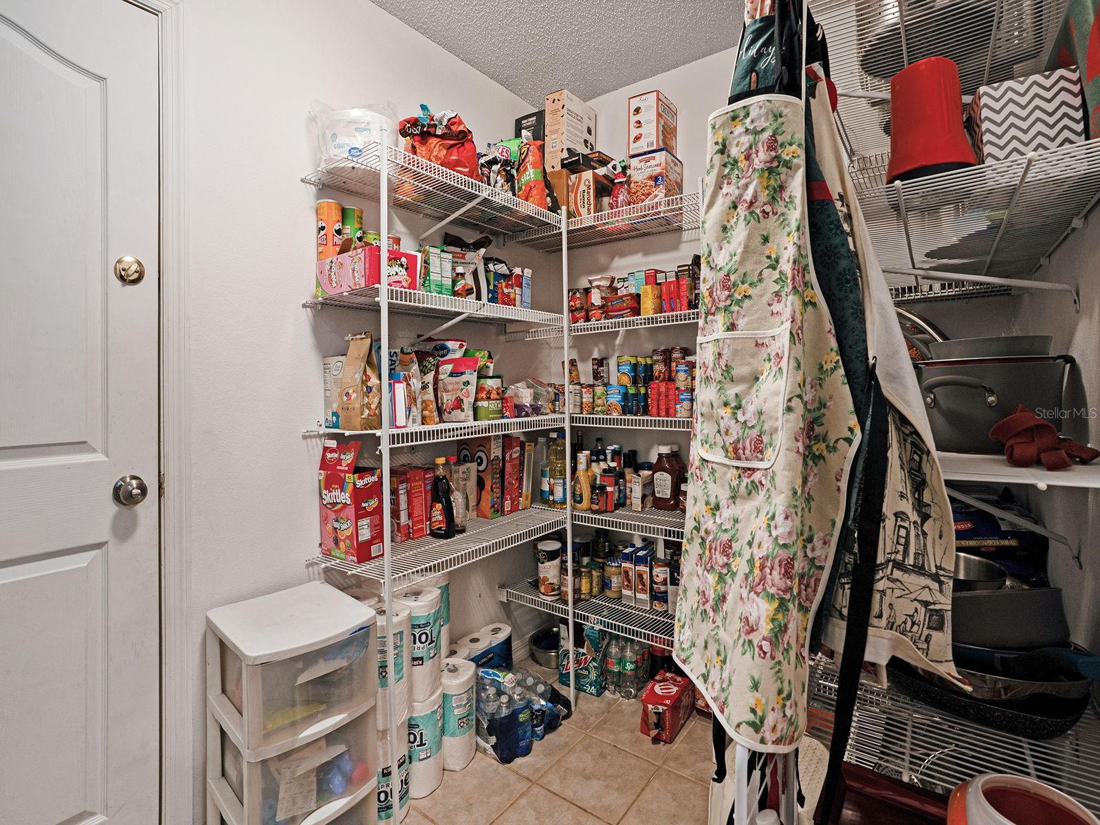 16755 SUNRISE VISTA DR, CLERMONT, FL, 34714