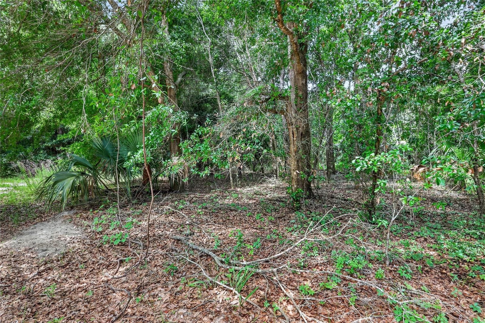 KILKER RD, PAISLEY, FL, 32767