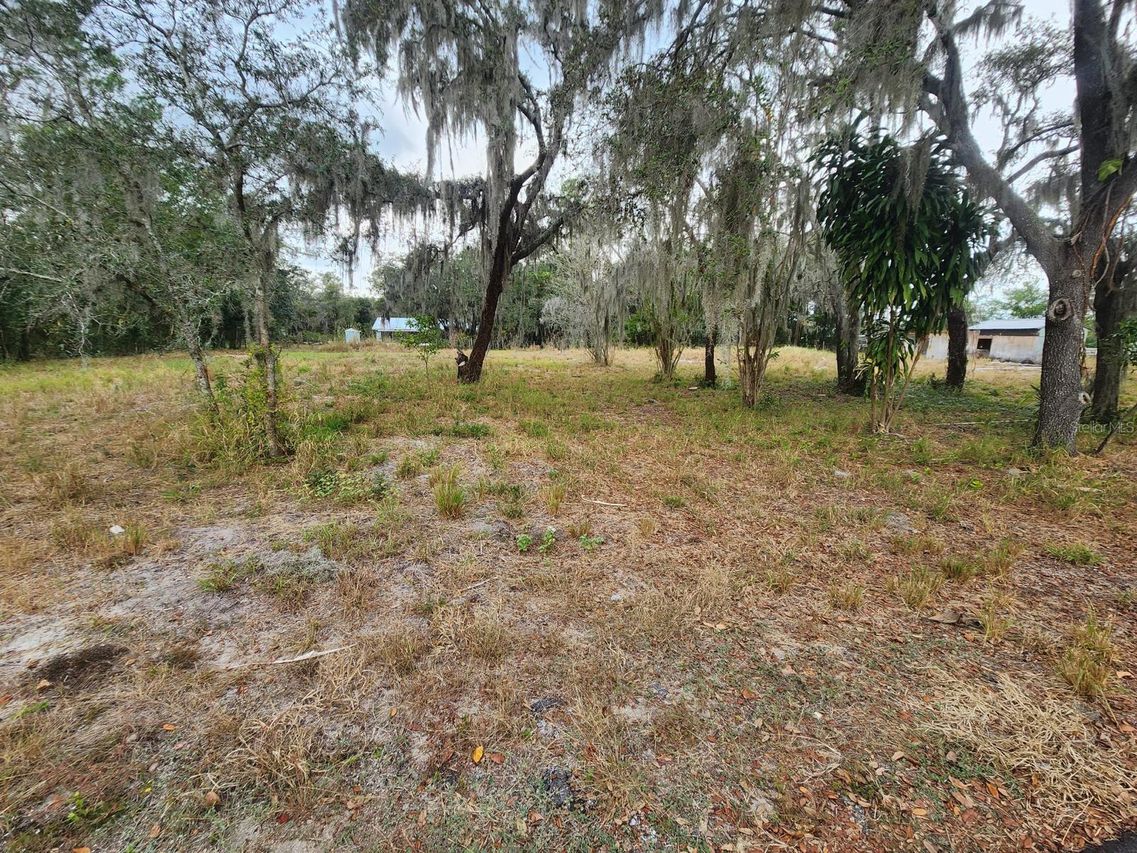 1409 WILKINSON DR, PLANT CITY, FL, 33566
