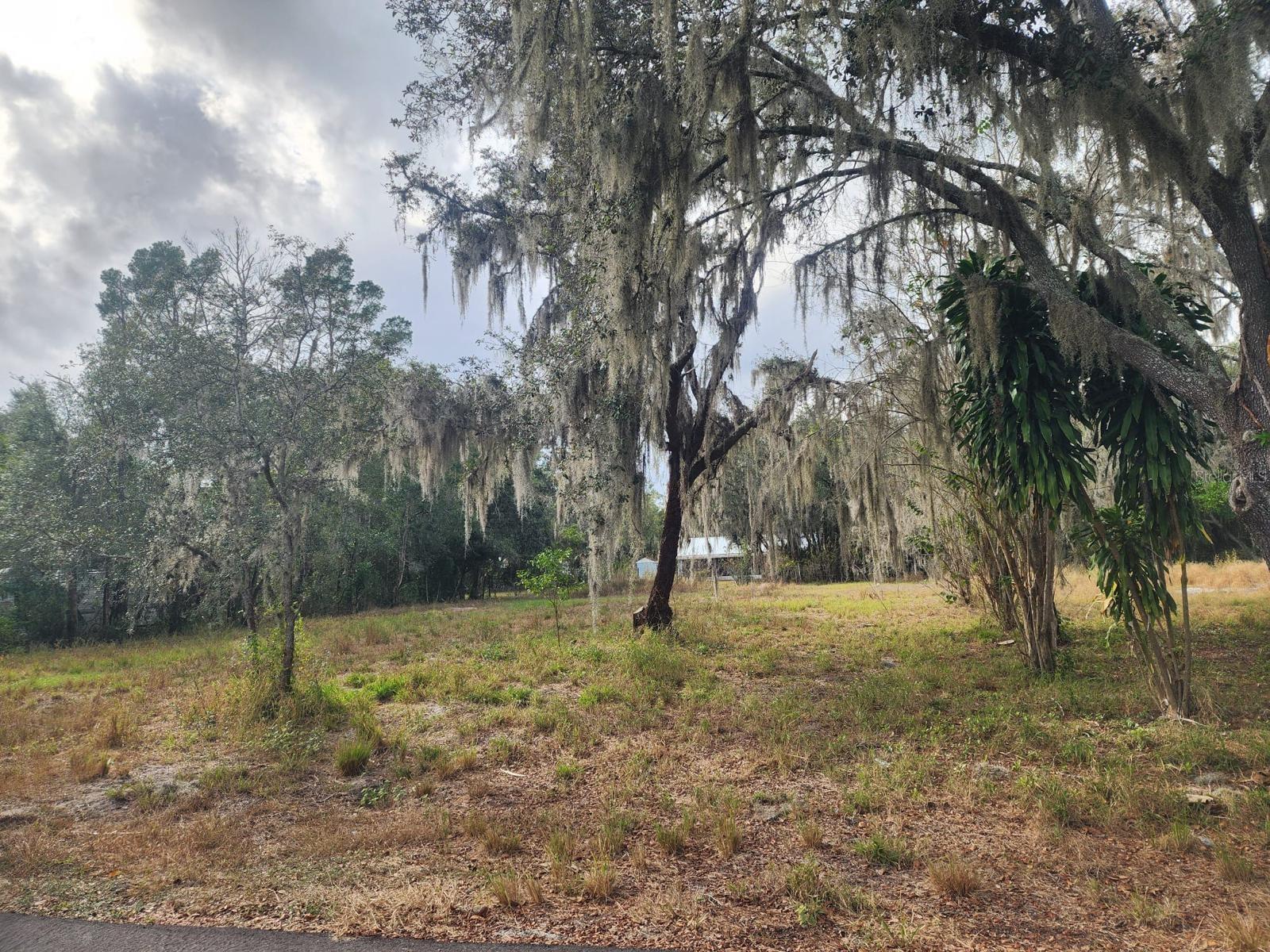 1409 WILKINSON DR, PLANT CITY, FL, 33566