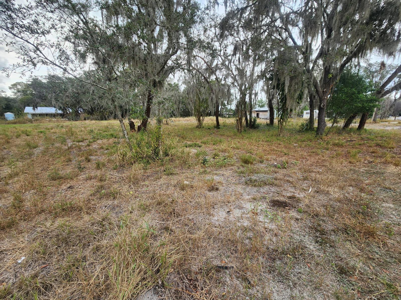 1409 WILKINSON DR, PLANT CITY, FL, 33566