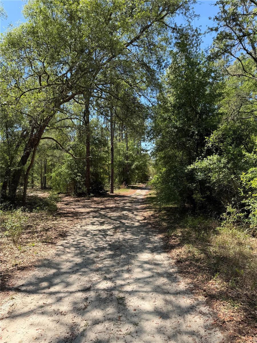 TBD NE 107TH COURT, BRONSON, FL, 32621