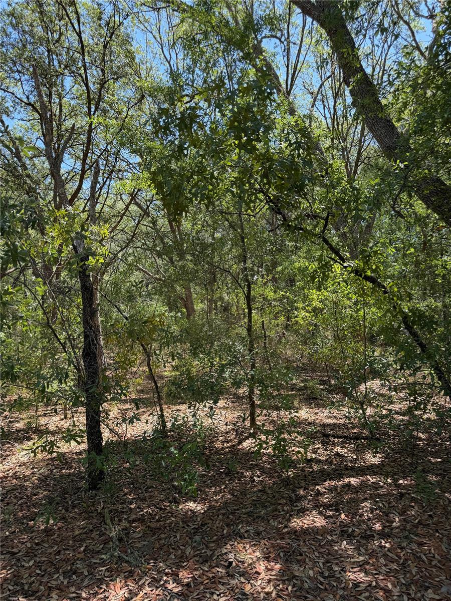 TBD NE 107TH COURT, BRONSON, FL, 32621