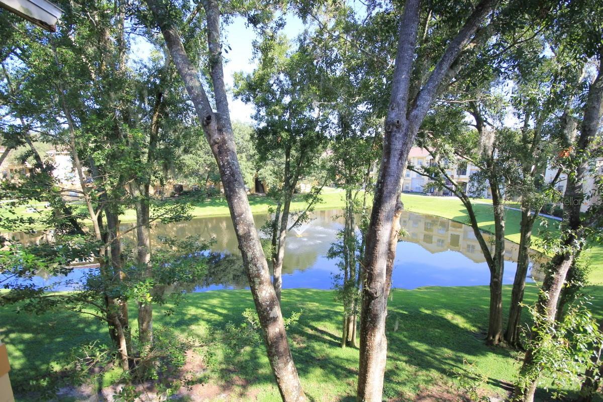 5608 PINNACLE HEIGHTS CIR #307, TAMPA, FL, 33624