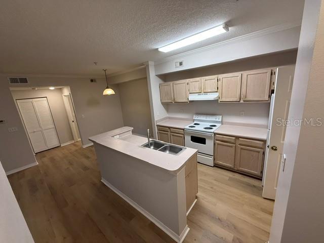 5608 PINNACLE HEIGHTS CIR #307, TAMPA, FL, 33624