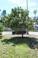 1519 DELAWARE AVE NE, ST PETERSBURG, FL, 33703