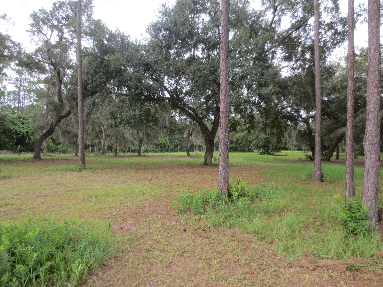 5995 SE 183RD AVENUE RD, OCKLAWAHA, FL, 32179