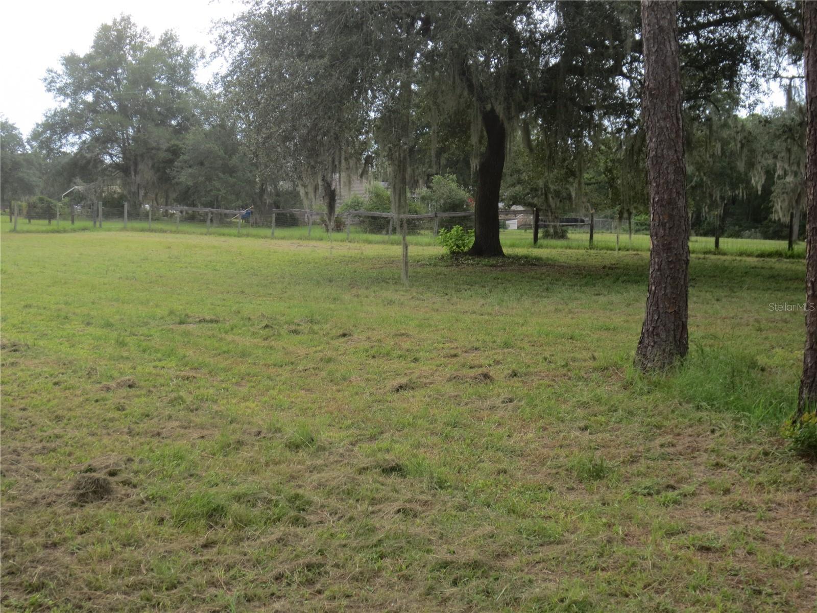 5995 SE 183RD AVENUE RD, OCKLAWAHA, FL, 32179