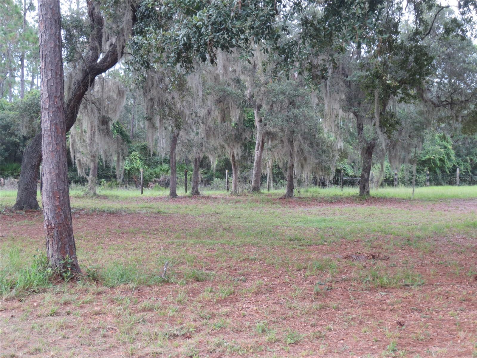 5995 SE 183RD AVENUE RD, OCKLAWAHA, FL, 32179
