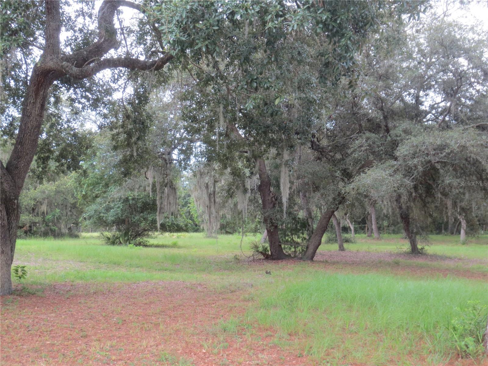 5995 SE 183RD AVENUE RD, OCKLAWAHA, FL, 32179