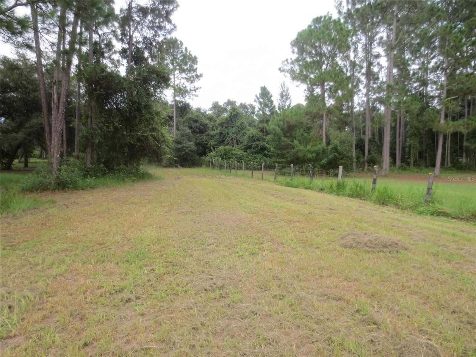 5995 SE 183RD AVENUE RD, OCKLAWAHA, FL, 32179