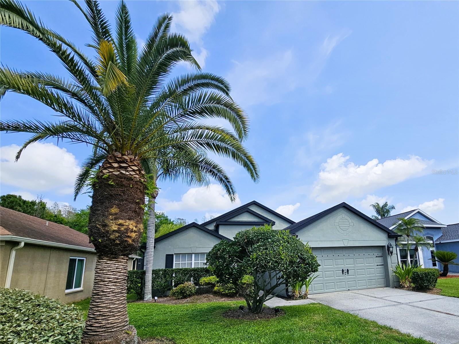 4521 GULFWINDS DR, LUTZ, FL, 33558