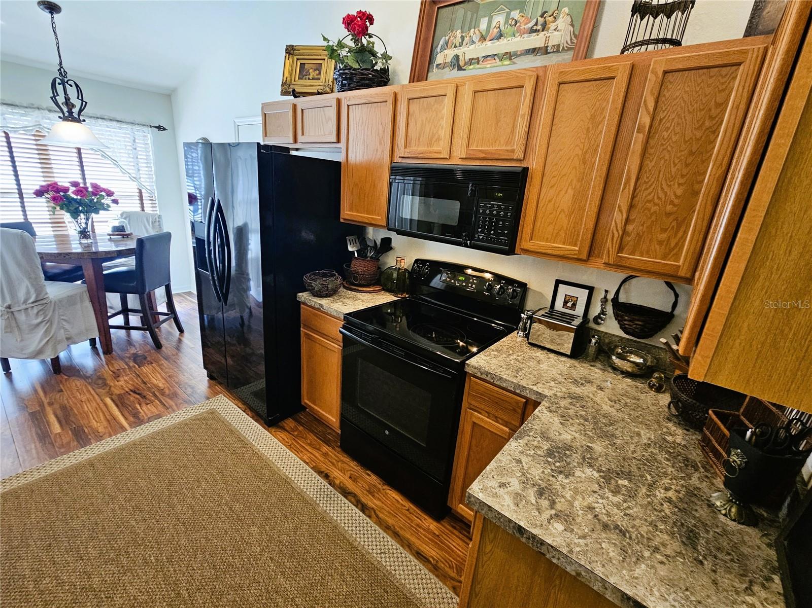 4521 GULFWINDS DR, LUTZ, FL, 33558