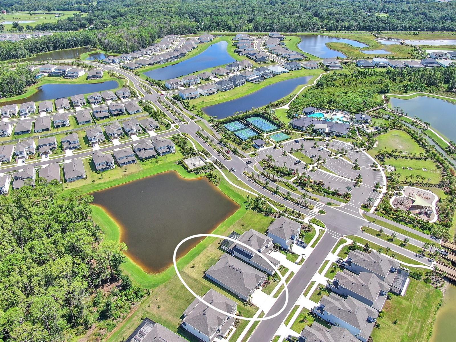 33372 LANDSMAN LOOP, WESLEY CHAPEL, FL, 33543