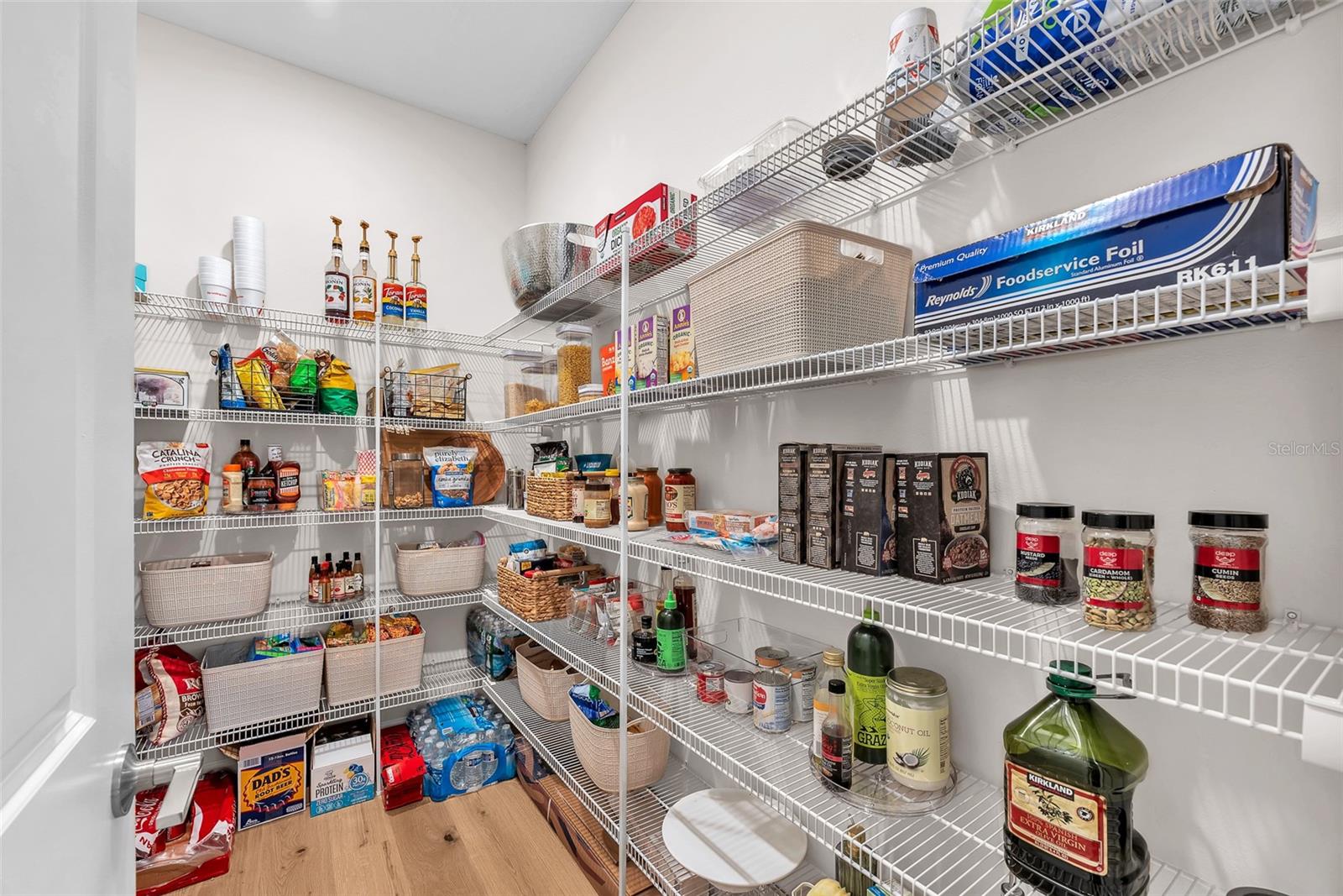 33372 LANDSMAN LOOP, WESLEY CHAPEL, FL, 33543