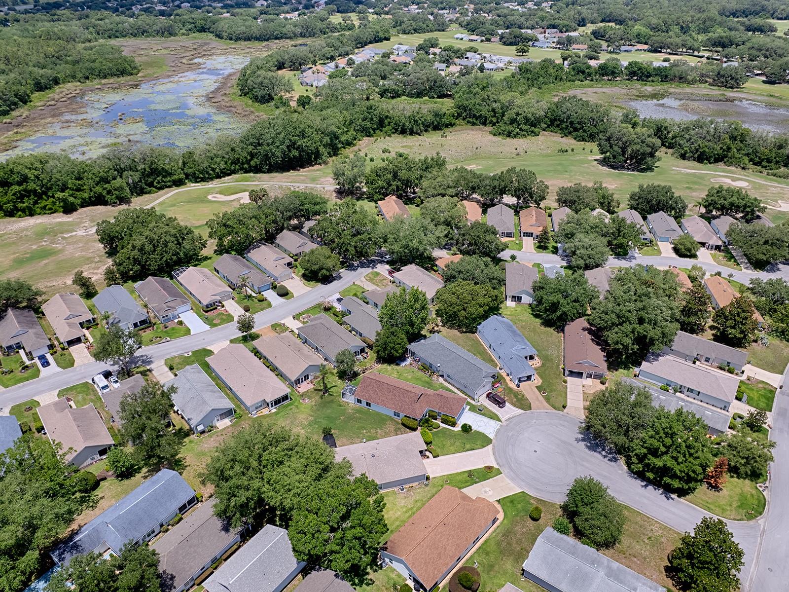 25114 CRANES ROOST CIR, LEESBURG, FL, 34748