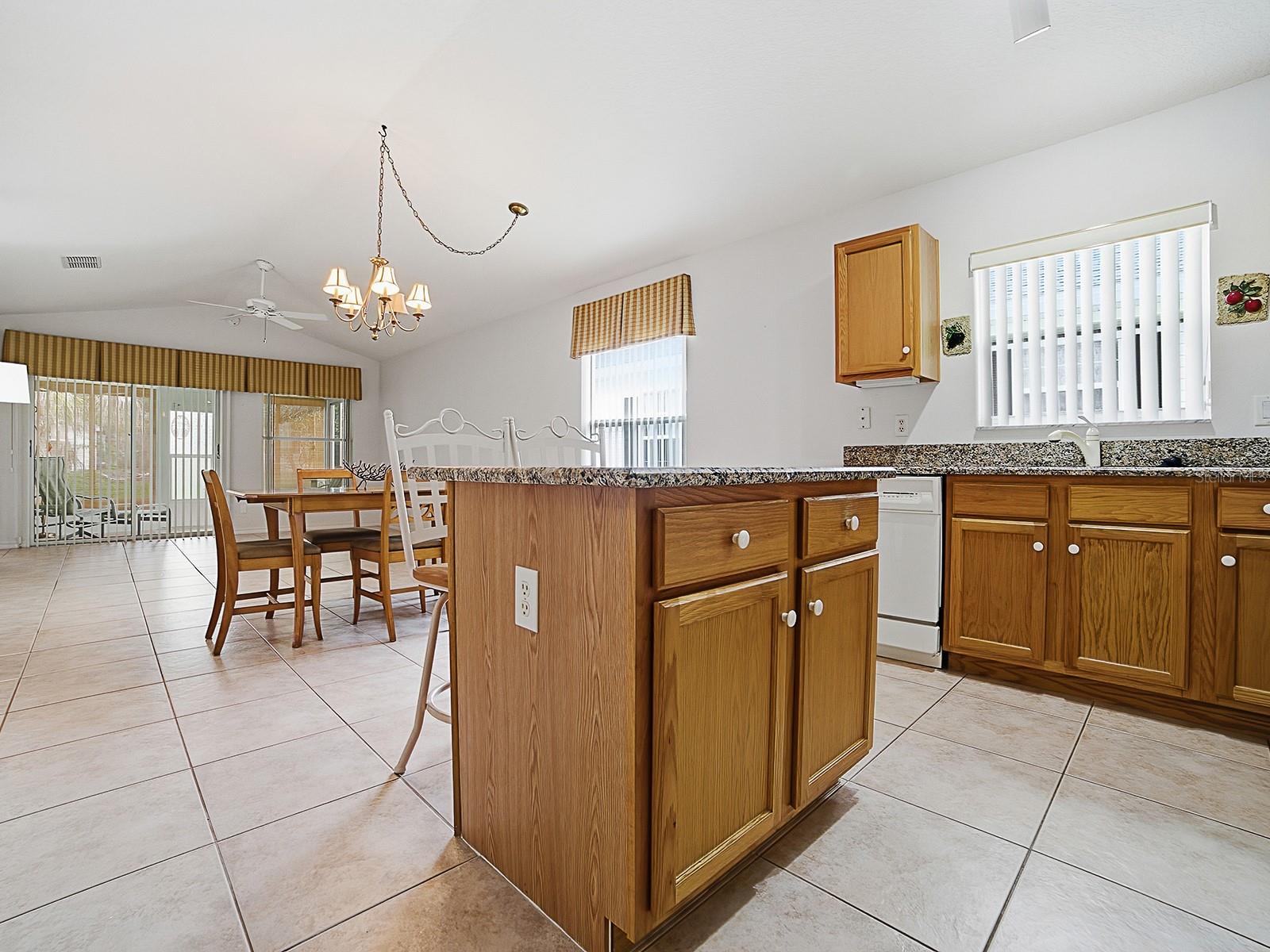 25114 CRANES ROOST CIR, LEESBURG, FL, 34748