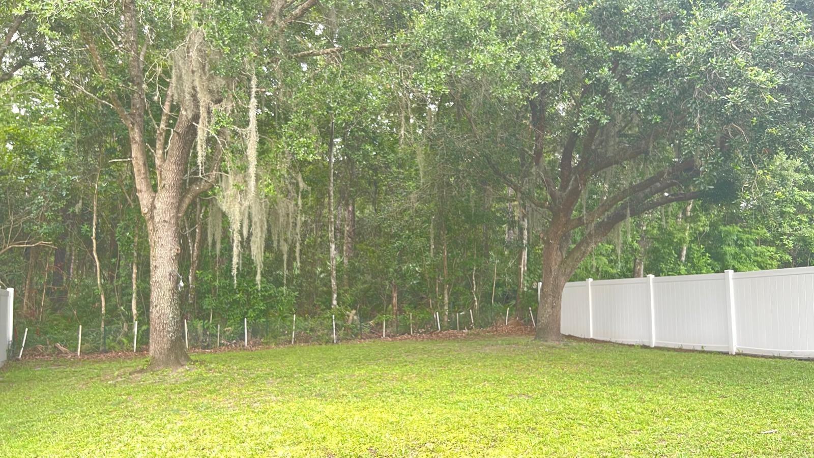 9925 PORTOFINO DR, ORLANDO, FL, 32832
