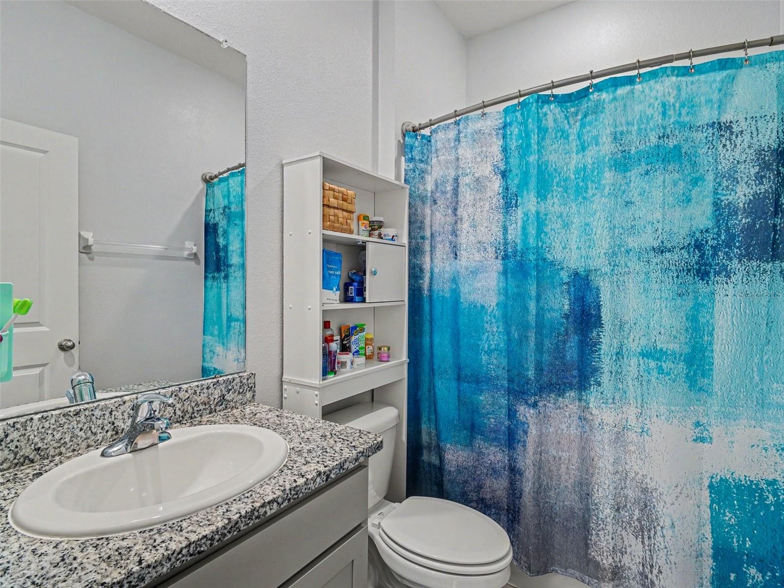 16639 GOOSE RIBBON PL, WIMAUMA, FL, 33598
