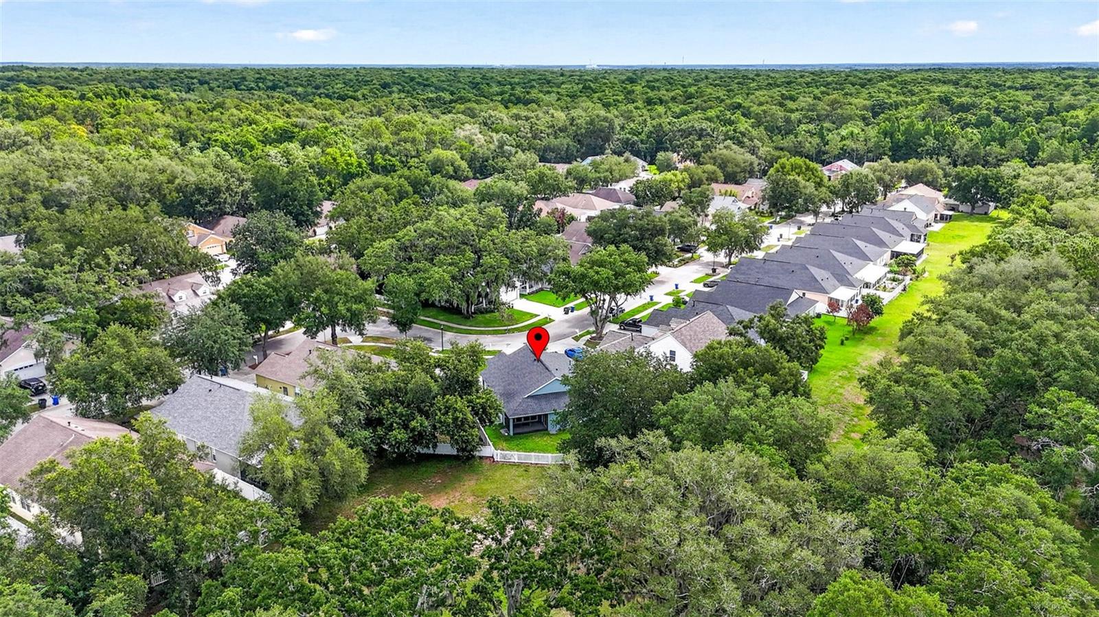 15826 STAGS LEAP DR, LUTZ, FL, 33559