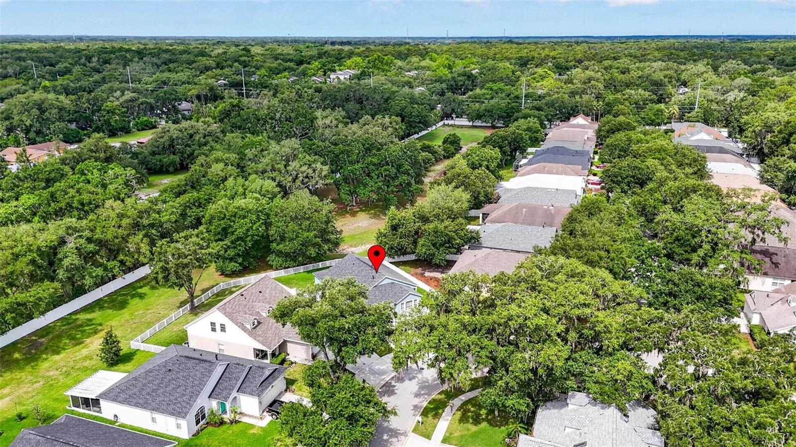 15826 STAGS LEAP DR, LUTZ, FL, 33559