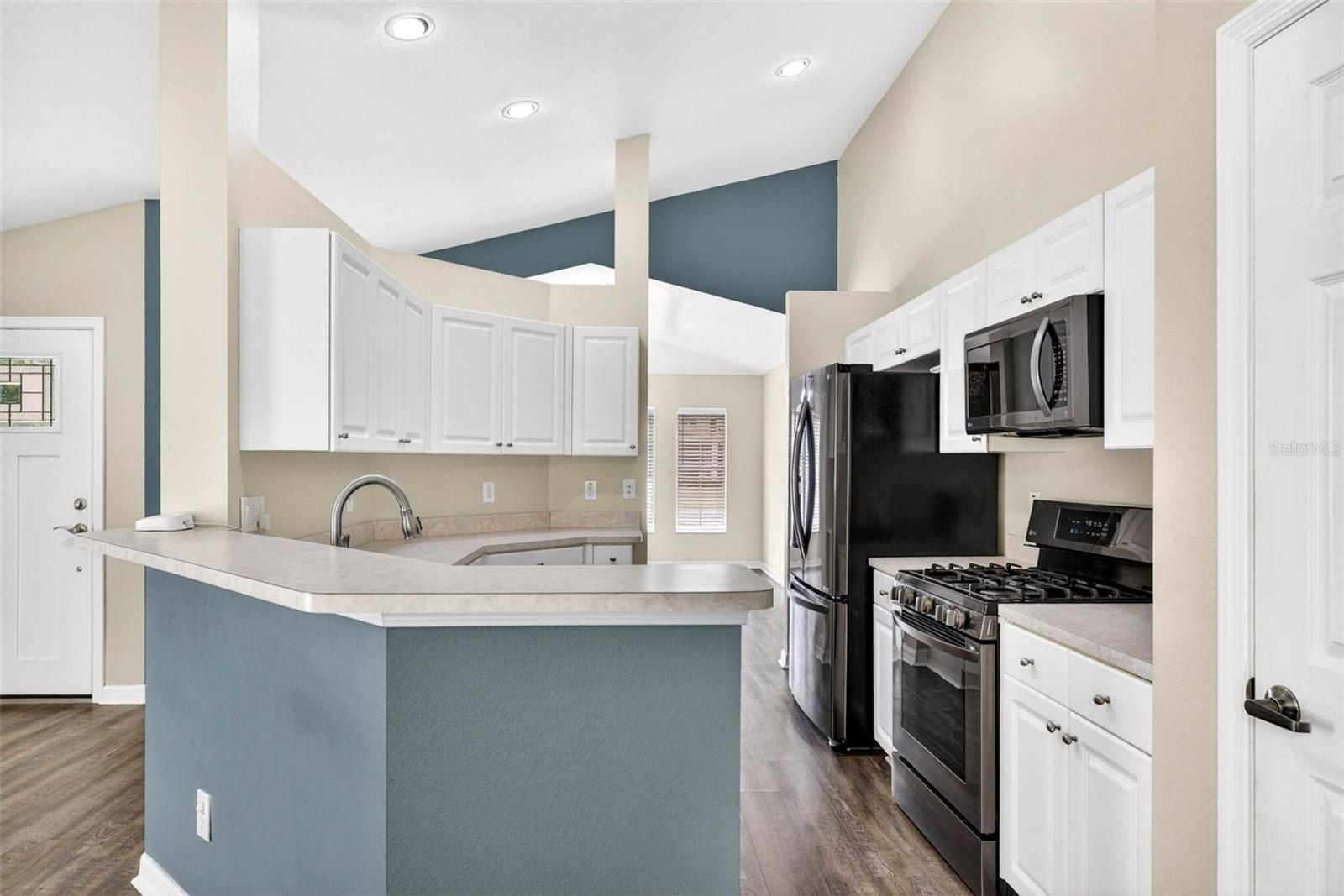 15826 STAGS LEAP DR, LUTZ, FL, 33559