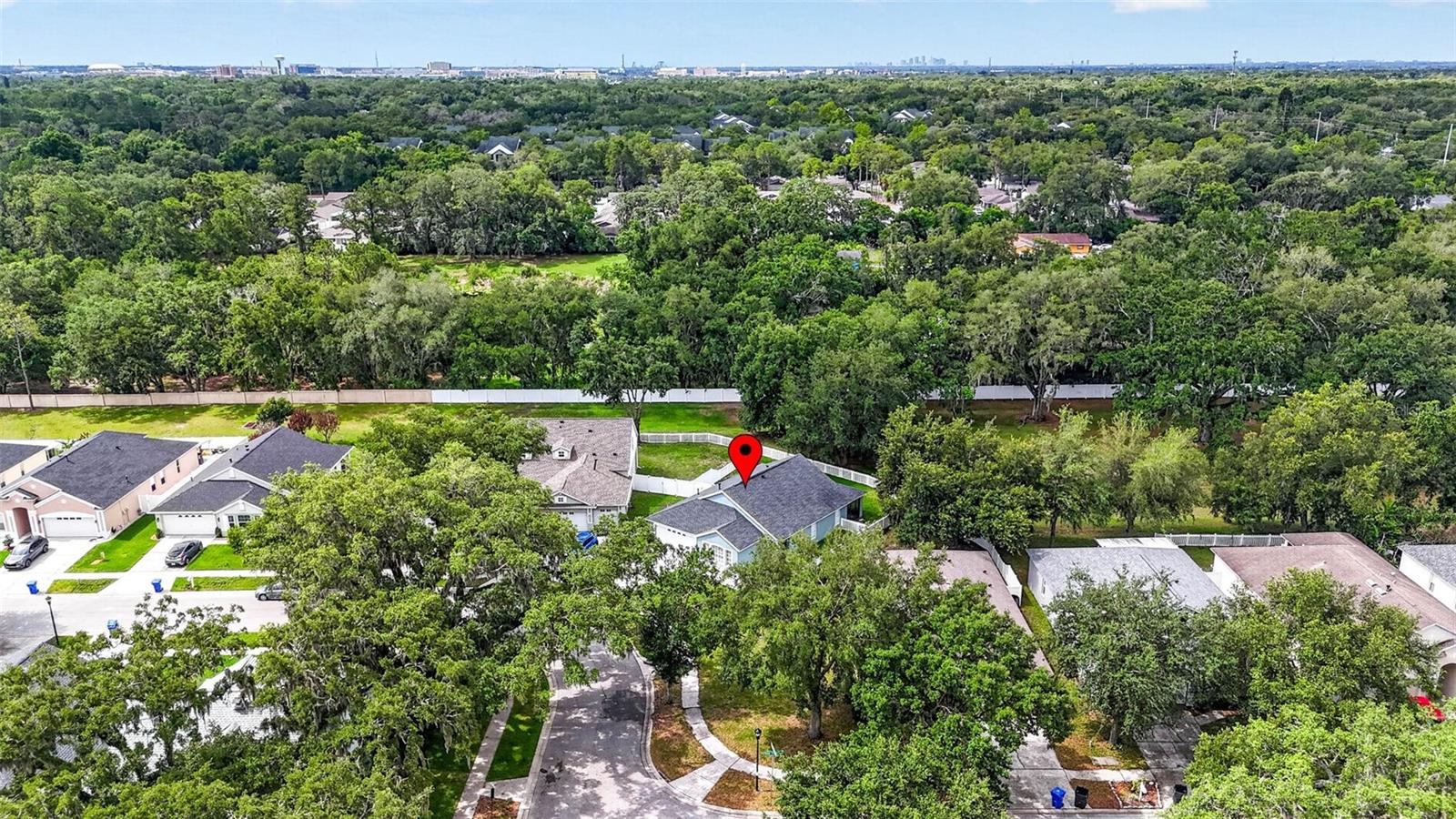 15826 STAGS LEAP DR, LUTZ, FL, 33559