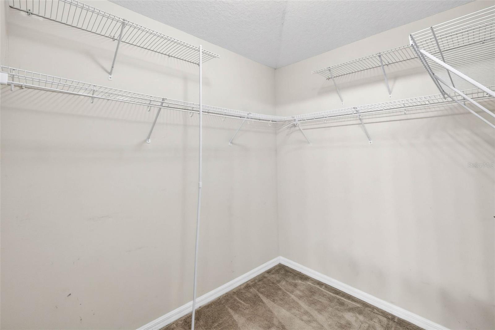 15826 STAGS LEAP DR, LUTZ, FL, 33559