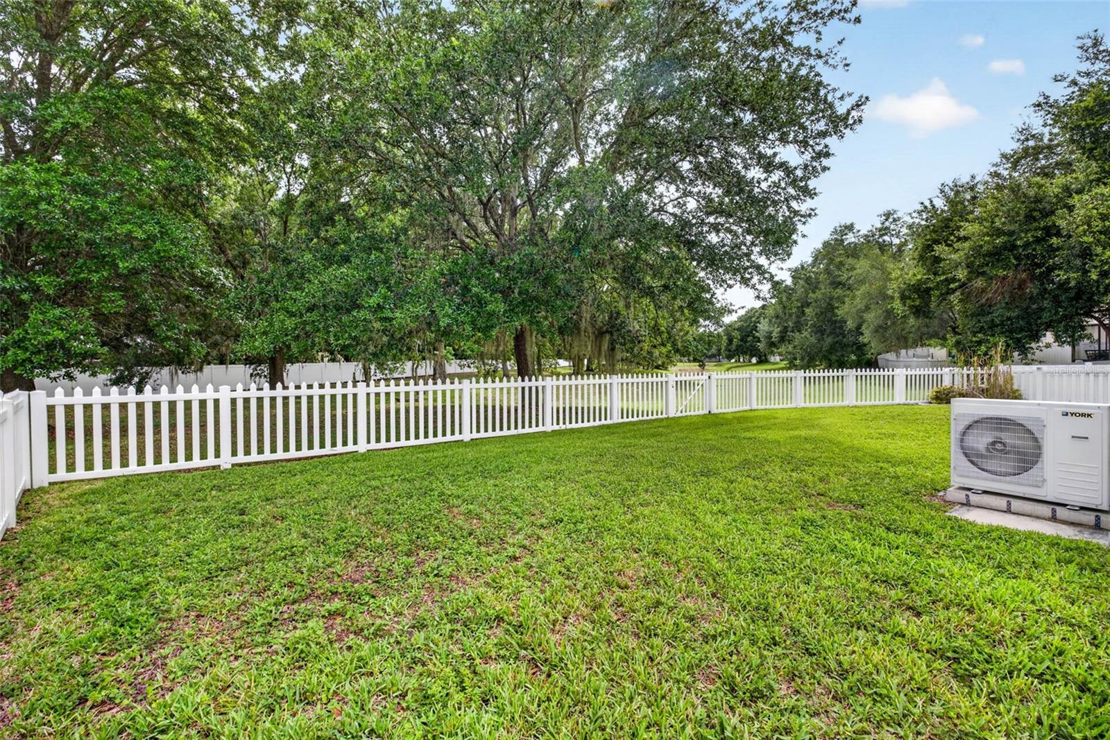 15826 STAGS LEAP DR, LUTZ, FL, 33559