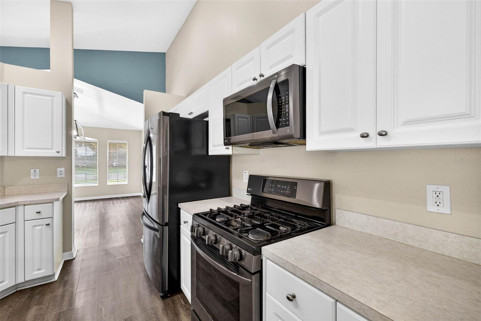 15826 STAGS LEAP DR, LUTZ, FL, 33559