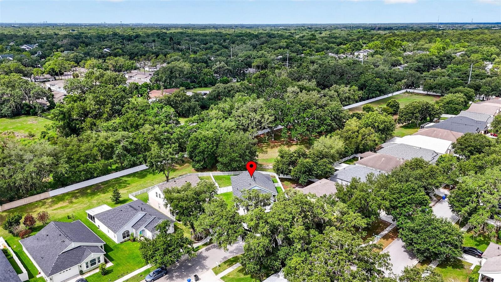 15826 STAGS LEAP DR, LUTZ, FL, 33559