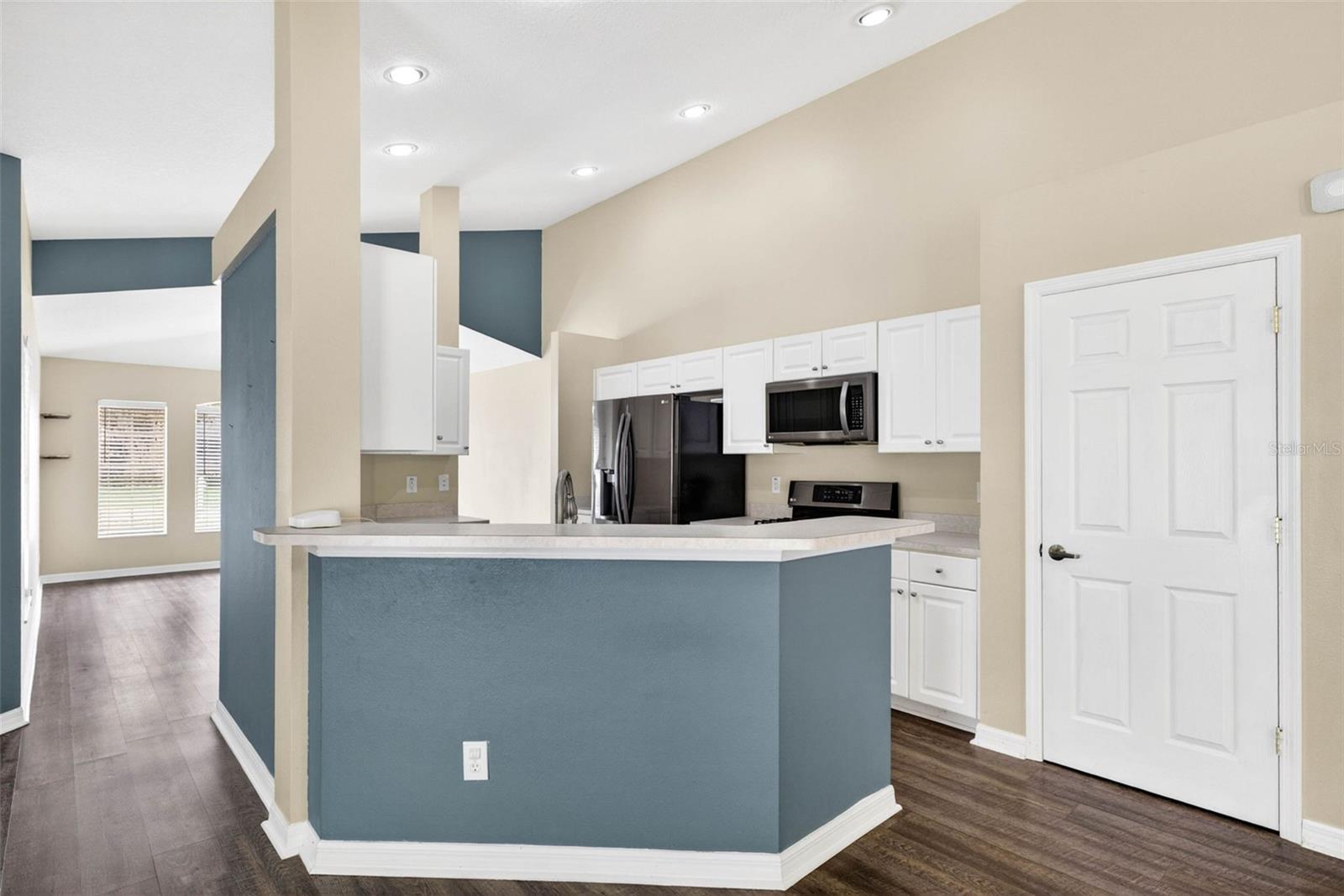15826 STAGS LEAP DR, LUTZ, FL, 33559