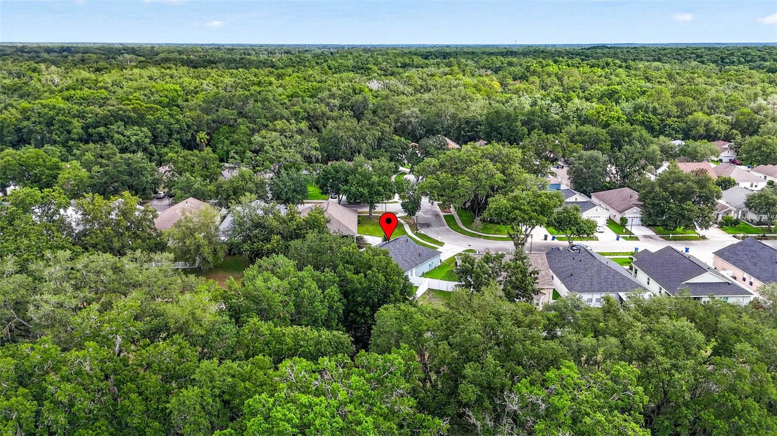 15826 STAGS LEAP DR, LUTZ, FL, 33559