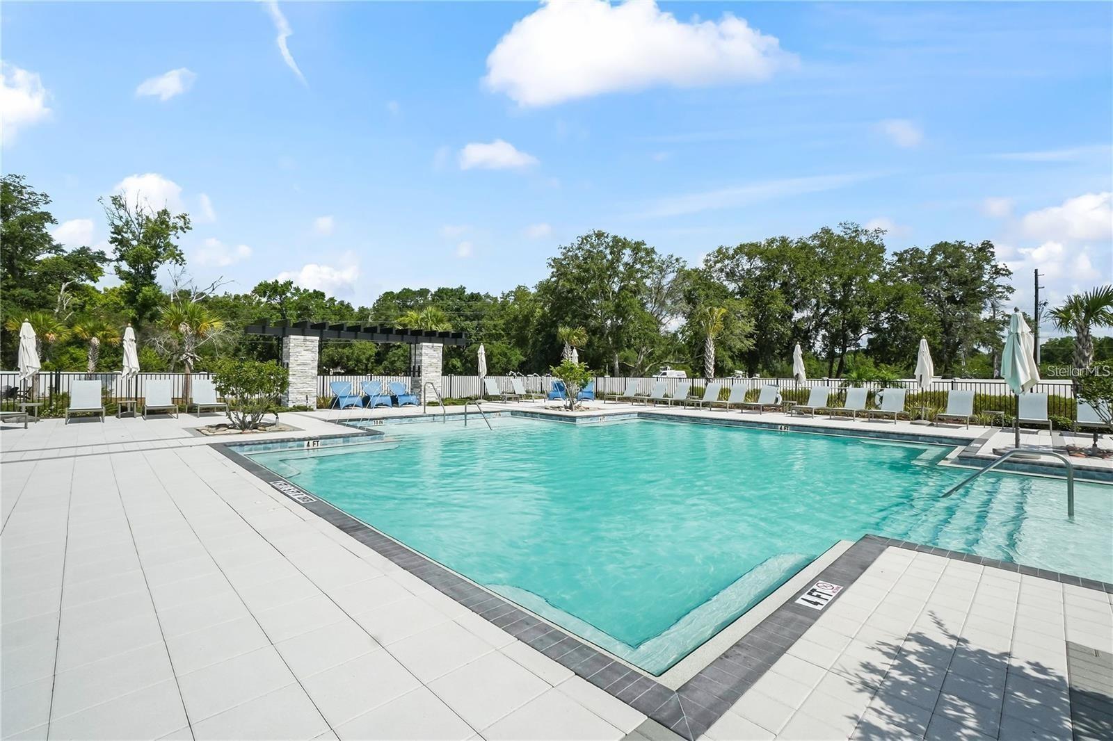 4221 CLOUD HOPPER WAY, LUTZ, FL, 33559