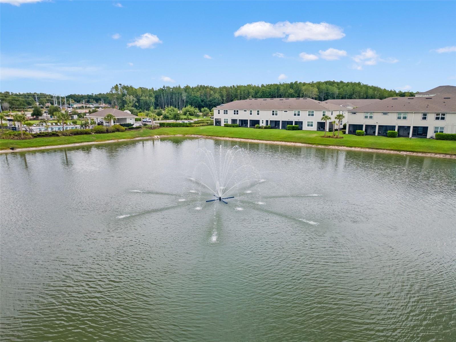 4221 CLOUD HOPPER WAY, LUTZ, FL, 33559