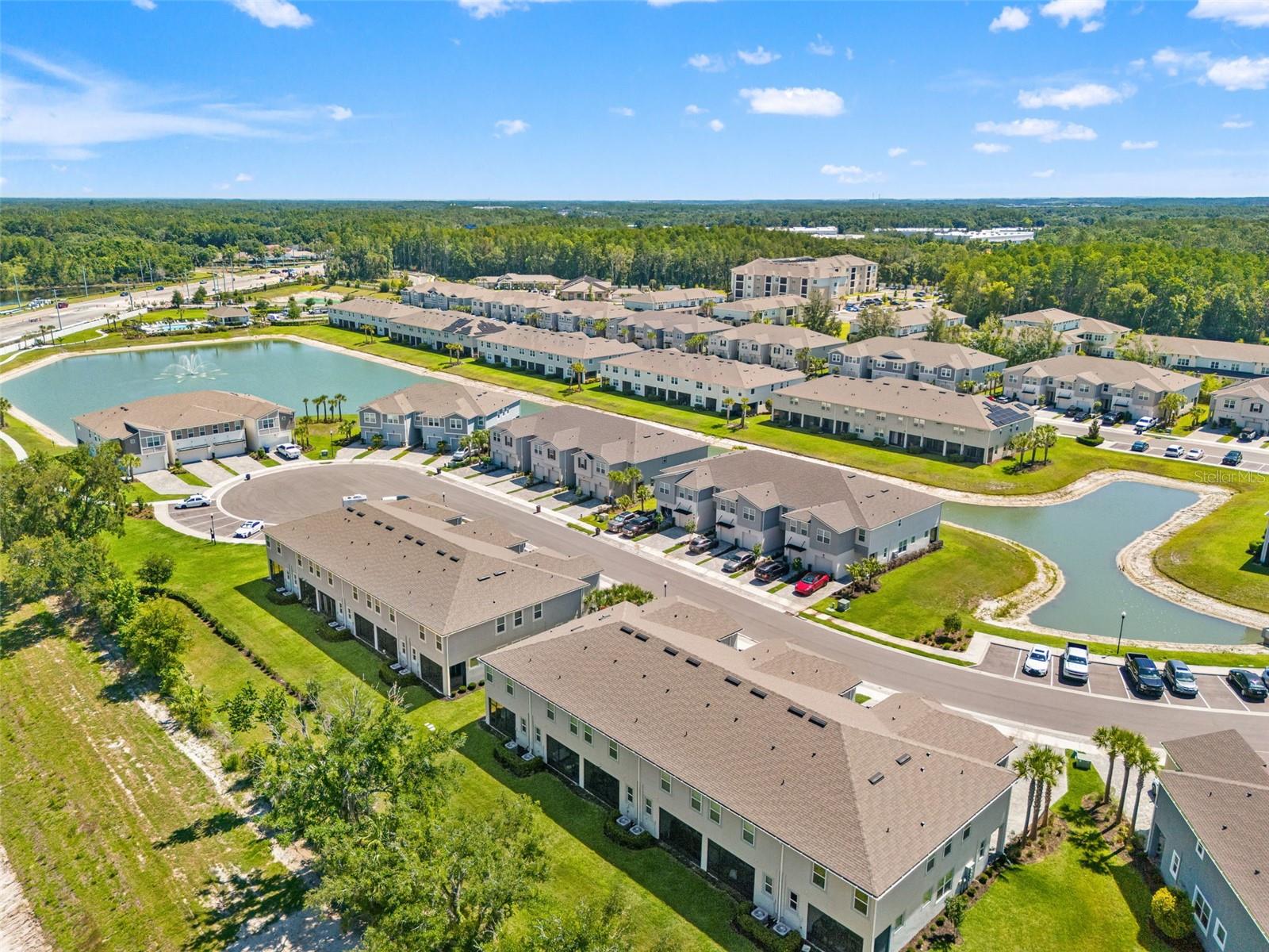 4221 CLOUD HOPPER WAY, LUTZ, FL, 33559