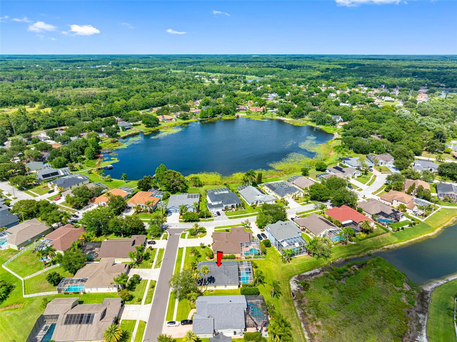 9104 CYPRESS KEEP LN, ODESSA, FL, 33556